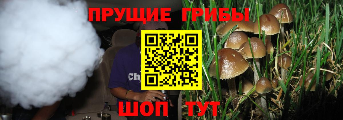 Галлюциногенные грибы Psilocybine cubensis  Вход с VPN  Корсаков 