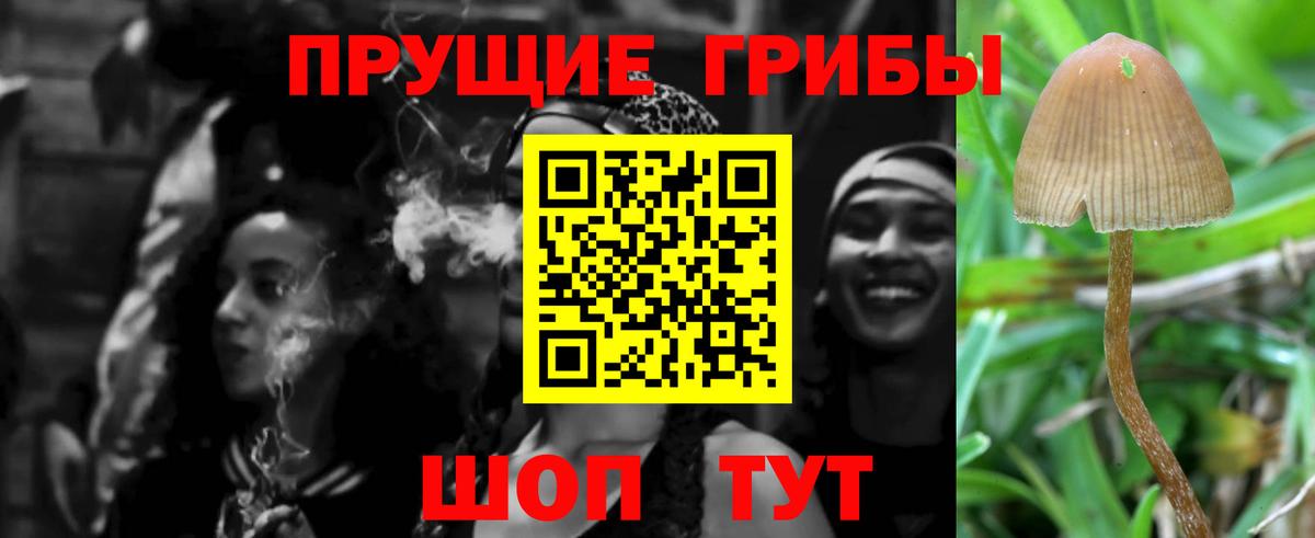 Галлюциногенные грибы мицелий Корсаков
